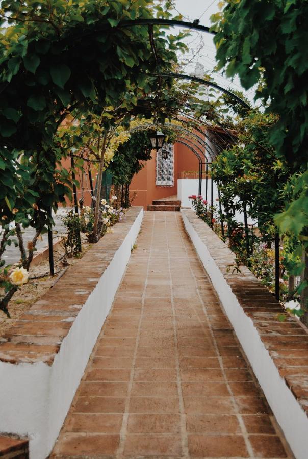 Quinta De Sao Pedro De Tomar Villa Kültér fotó