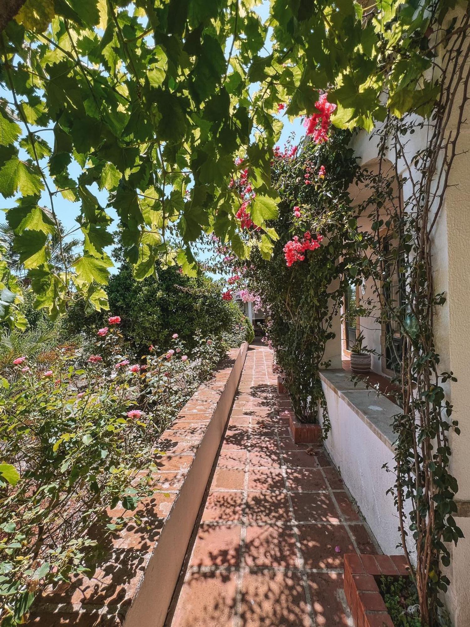 Quinta De Sao Pedro De Tomar Villa Kültér fotó